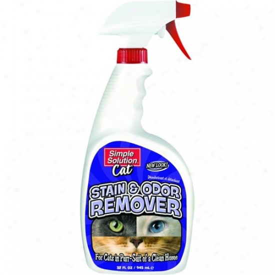 Bramton 10627 Urine Stain/odor Remover Spray
