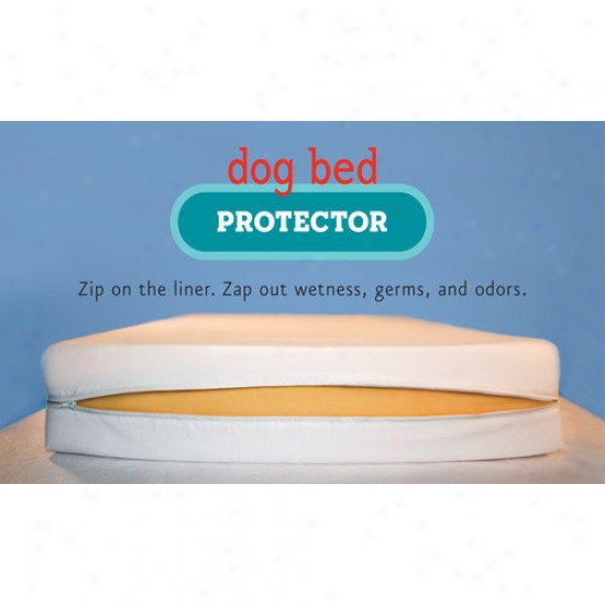Buddy Beds Dog Bed Protector