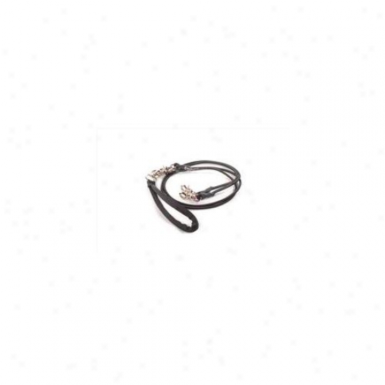 Bungee Pupee Bp012d Double Small Up To 25 Lbs - Black 4 Ft.  Tie