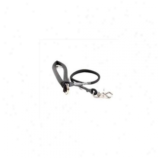 Bungee Pupee Bp102lS mall Up To 25 Lbs - Black 3 Ft.  Leash
