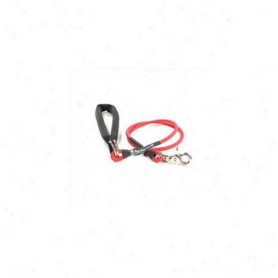 Bungee Pupee Bp103l Small Up To 25 Lbs - Red 3 Ft.  Leash