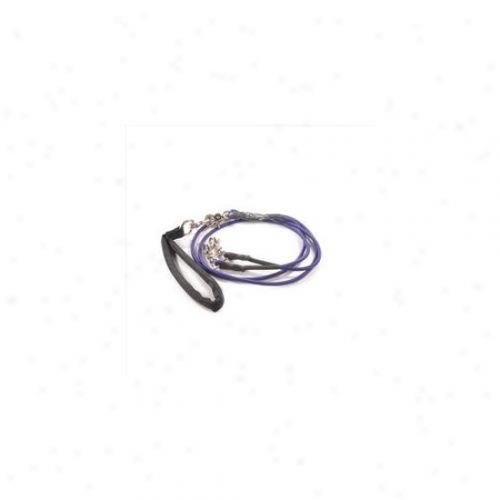 Bungee Pupee Bp105d Double Small Up To 25 Lbs - Purple 4 Ft.  Leash