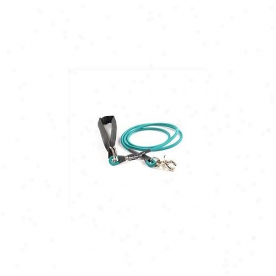 Bungee Pupee Bp107 Small Up To 25 Lbs - Teal 6 Ft.  Three 