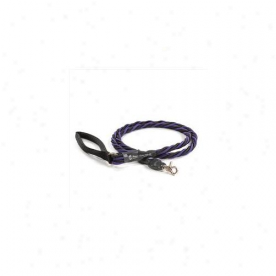 Bungee Pupee Bq405 X-large Up To 165 Lbs - Purple And Black 6 Ft.  Tie
