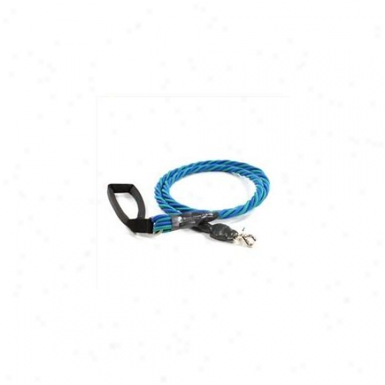 Buhgee Pupee Bq407 X-large Up To 165 Lbs - Teal And Blue 6 Ft.  Leash