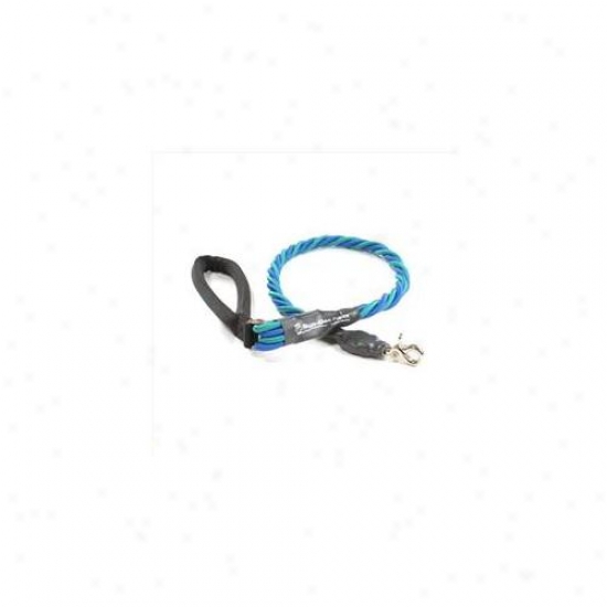 Bungee Puepe Bq407l X-large Up To 165 Lbs - Teal And Azure 3 Ft.  Leash
