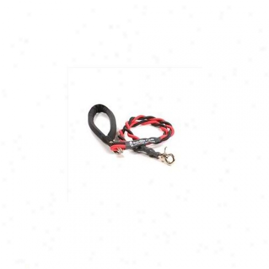 Bungee Pupee Bt203l Medium Up To 45 Lbs - Red And Black 3 Ft.  Leash