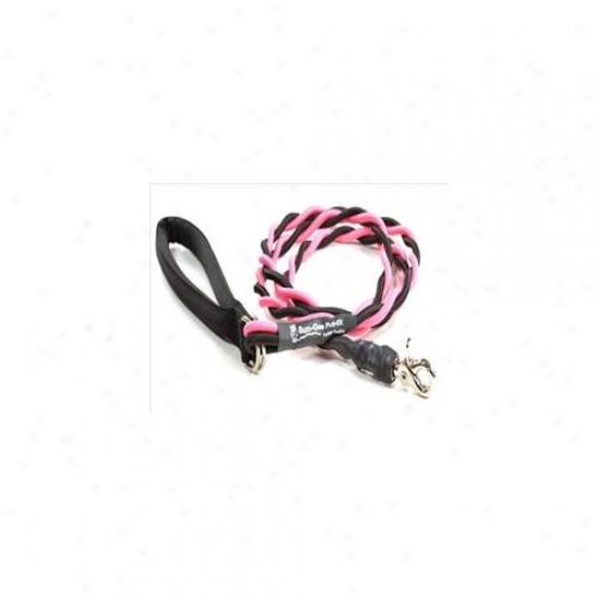 Bungee Pupe Bt204 Medium Up To 45 Lbs - Pink And Black 6 Ft.  Leash
