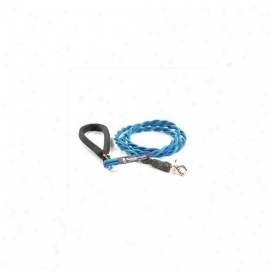 Bungee Pupee Bt207 Medium Up To 45 Lbs - Teal And Blue 6 Ft.  Leash