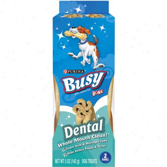 Busy Dental For Small/medium Dogs Dog Treats, 5 Oz