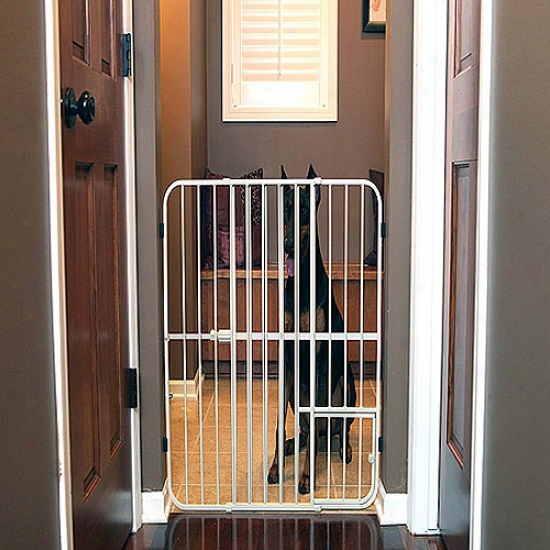 Carlson Pet Products Additional Tall Tuffy Pet Gate, Metal