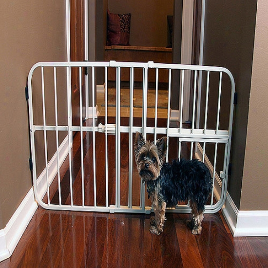Carlson Pet Products Mini Tuffy Pet Gafe, Metal