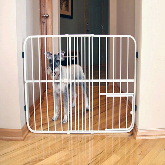Carlson Pet Products Tuffy Pet Gate, Metal
