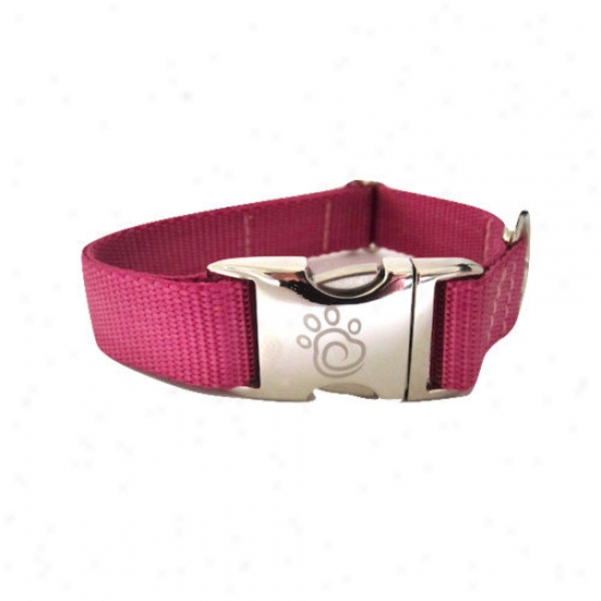 Chief Furry Officer Solid Webbing Dog Collar