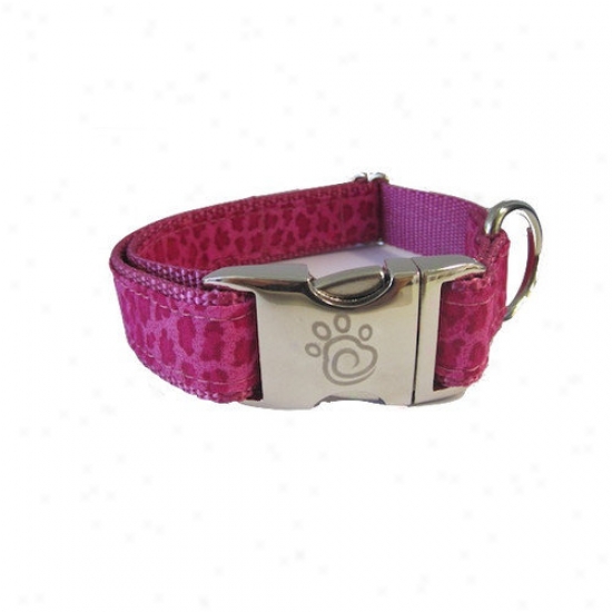 Chief Furry Officer The Wood Dog Collar