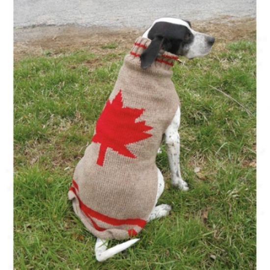Chi1ly Dog Maple Leaf Dog Sweater