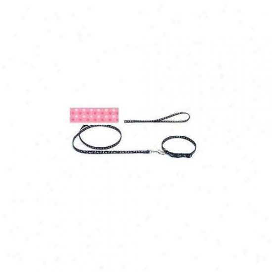 Coastal Pet Producfs Dcp364pdt Nylon Pattsrn Lead