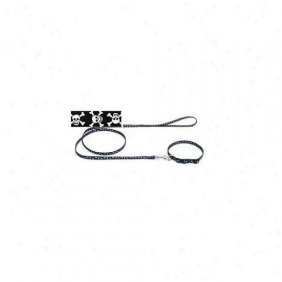 Coastal Pet Products Dcp364skz Nylon Pattern Lead