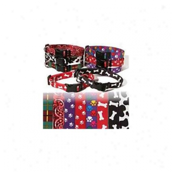 Coastal Pet Products Dcp364spw Nylon Pattern Lead
