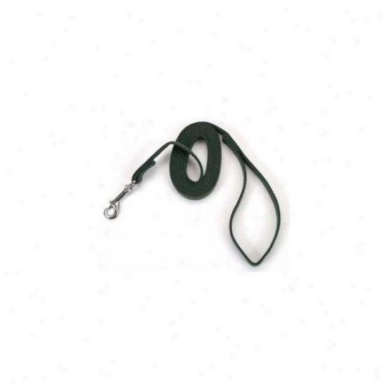 Coas5al Pet Products Dcp506grn Cotton Web Lead