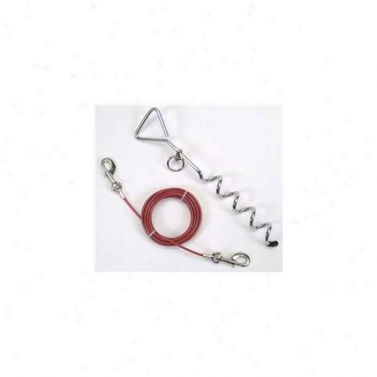 Coastal Pet Products Dcp89010 Tieout With Spiral Stake