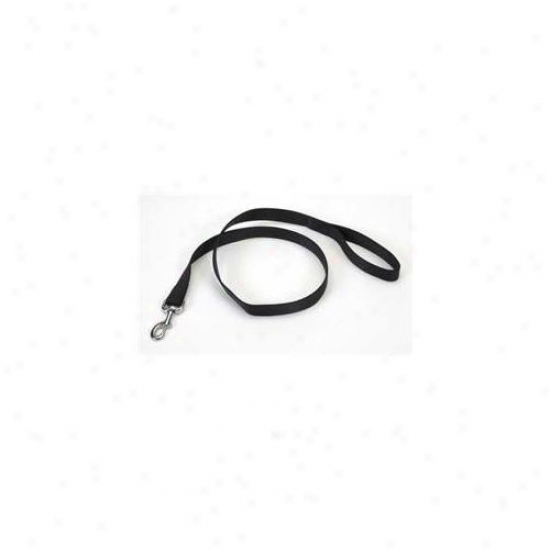 Coastal Pet Products Dcp904blk Nylon Single Lead