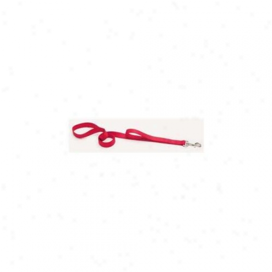 Coastal Pet Products Dcp904hred Nylon Loops 2 Lead