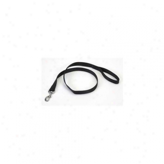 Coastal Pet Products Dcp906blk NylonS ingle Stratum Lead