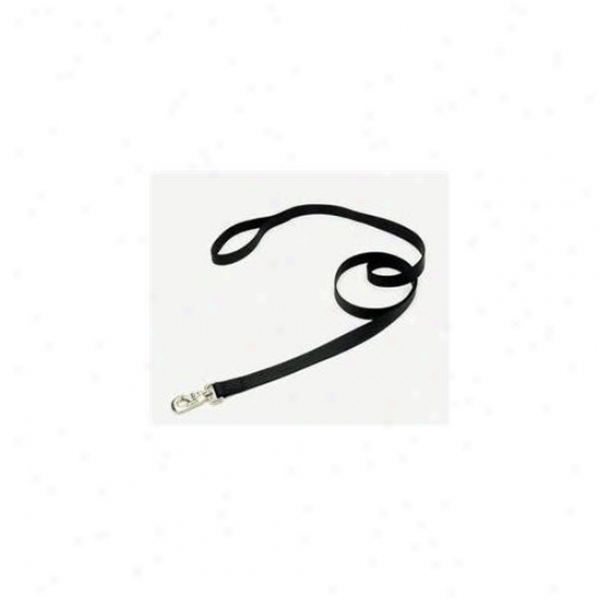 Coastal Pet Products Dcp906hblu Nylon Loops 2 Lead
