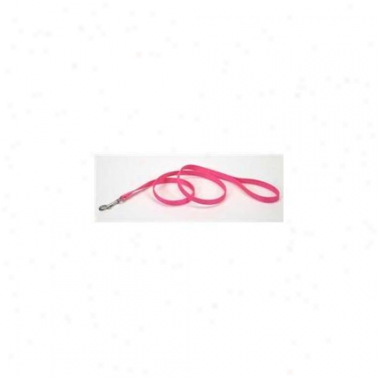 Coastal Pet Products Dcp906npk Nylon Single Layer Lead