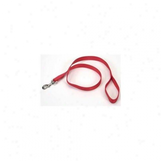 Coastal Pet Productx Dcp906red Nylon Single Layer Lead