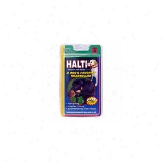 Coastal Pet rPoducts Halti Head Collar Sz 0 - 6100