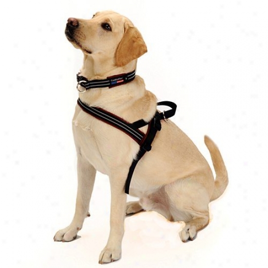 Comfortflex Sport Dog Harness