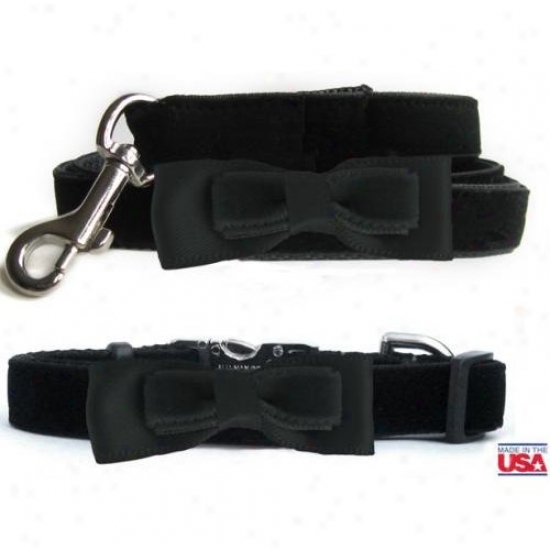 Diva-dog 10023084 Bowtie Black Bow Xs-sm Put a ~ on And Leash Set