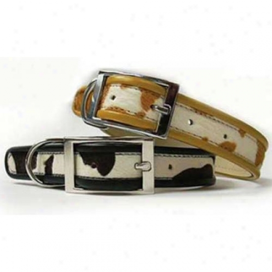Diva-dog 1567287 Cheyenne Fawn Xs Collar