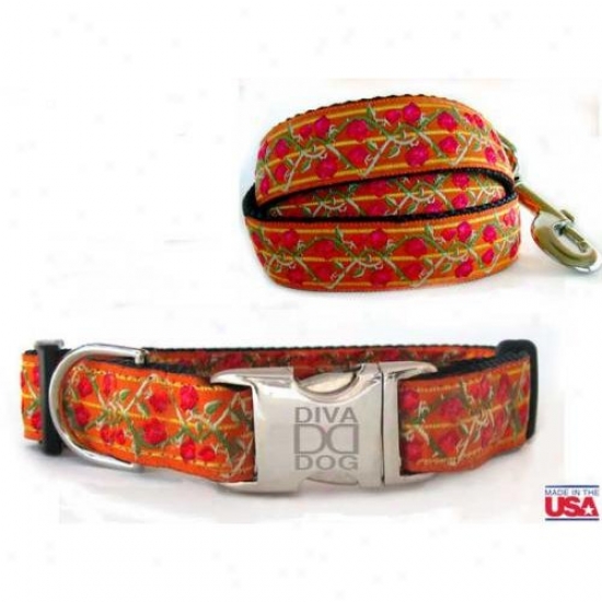 Diva-dog 2091724 Bombay Xs-sm Collar And Leash Set