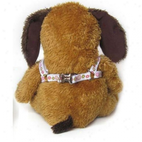 Diva-dog 2572135 Witner Garden Xs/s Adjustable Step-in Harness