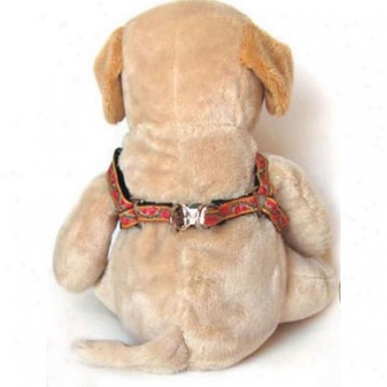 Divva-dog 2584303 Bombay Xs/s Harness And Leash