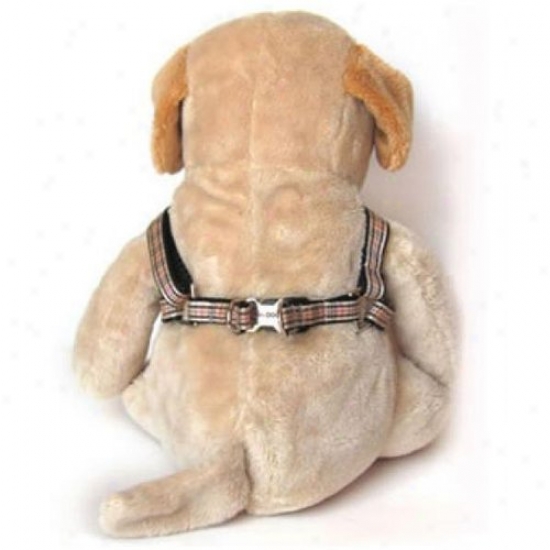 Diva-dog 2588644 Grr!bury Xs/s Harness And Leash Set