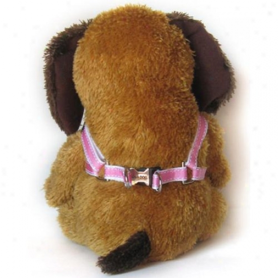 Diva-dog 34731442 Preppy In Pink Xs/s Harness And Leash