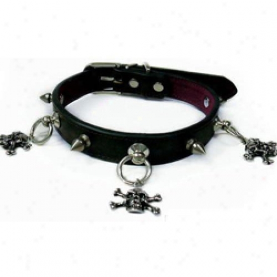 Diva-doy 3847099 Spike L Collar