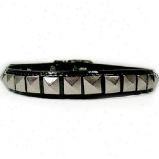 Diva-dog 3887648 Rockstar Xs Collar