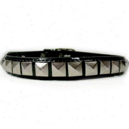 Diva-dog 3887653 Rockstsr Xxs Ring