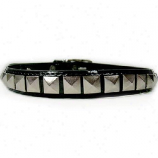 Diva-dog 3888656 Rockstar S Collar