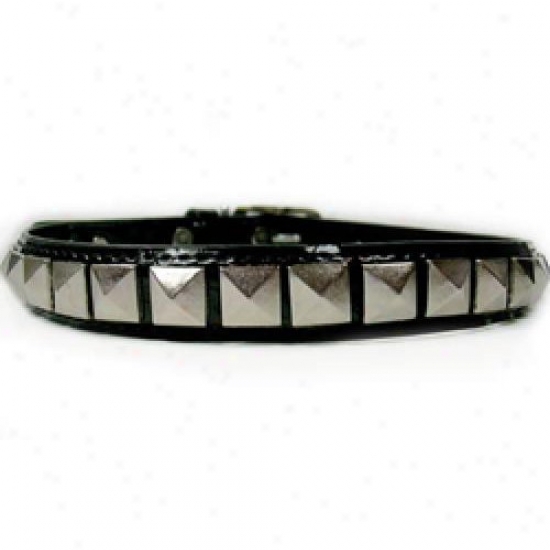 Diva-dog 3887662 Rockstar L Collar