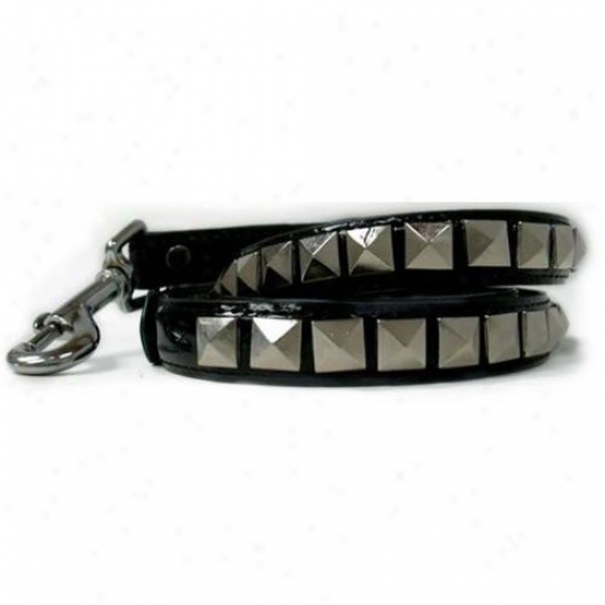 Diva-dog 3887666 Rockstar Lessh