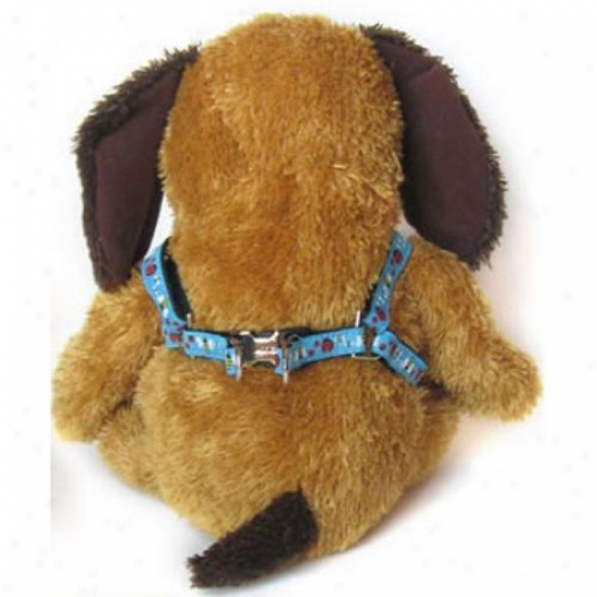 Diva-dog 5404945 Lady Bus And Bumble Bees Xs/s Harness And Leash