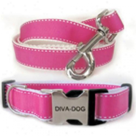 Diva-dog 6184061 Preppy In Scallop Xs/s Collar And Leash Metal/plastic Curl