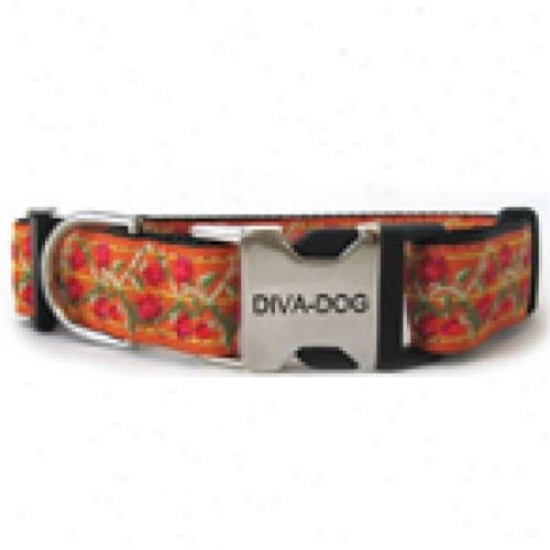 Diva-dog 6266068 Bombay M/l Collar Metal/plastic Buckle
