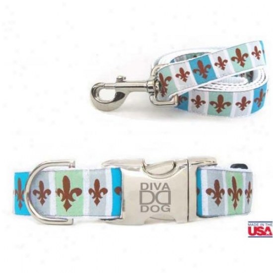 Diva-dog 7080632 French Quarter M/l Collar And Leash